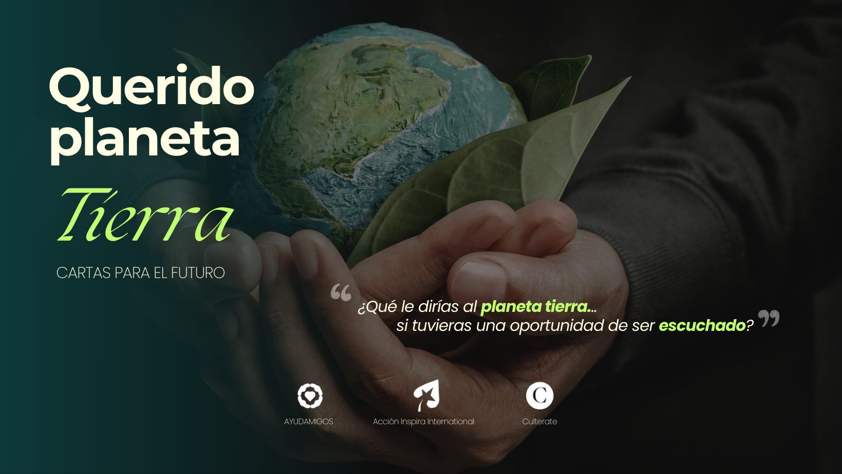 reforestacion