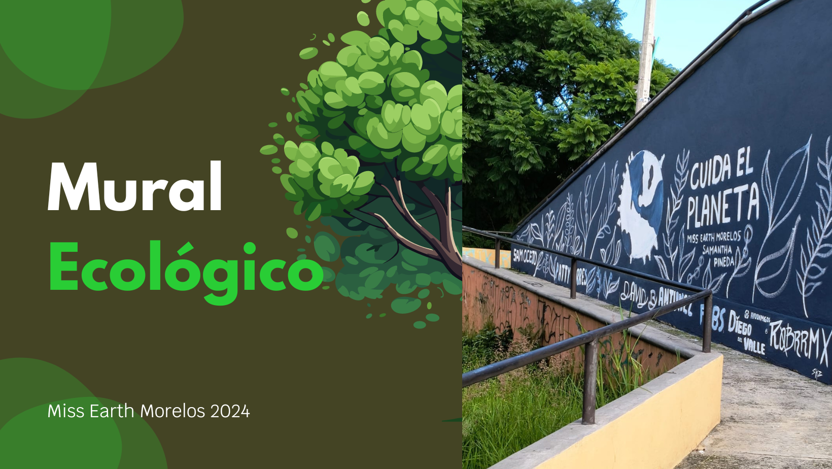 reforestacion