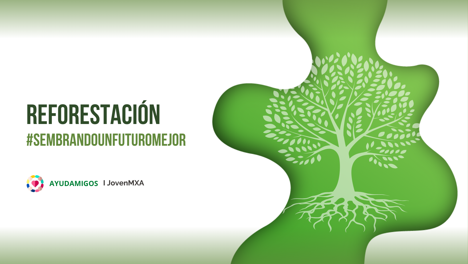 reforestacion