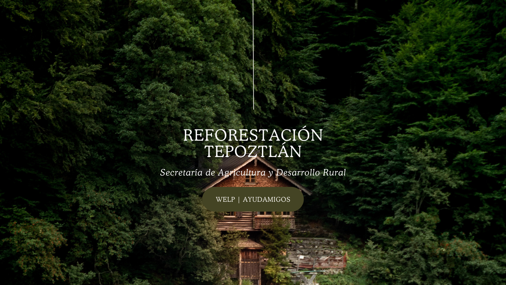 reforestacion